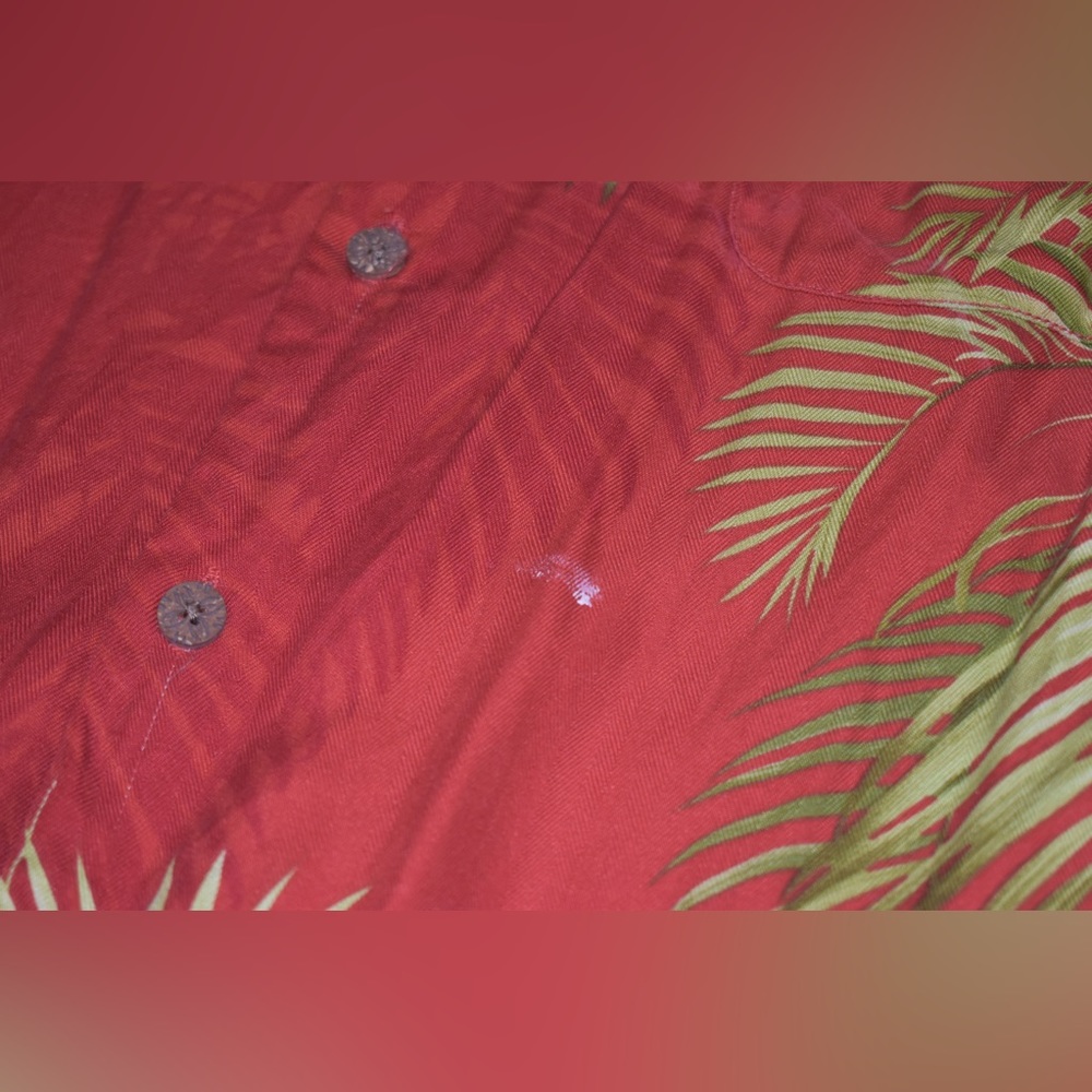 TB button down - Picture 9 of 9